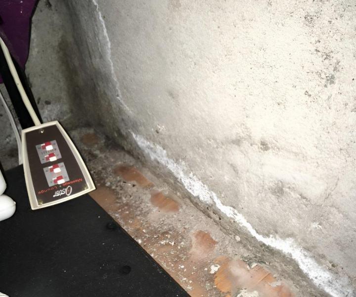 Remise en état après dégât des eaux